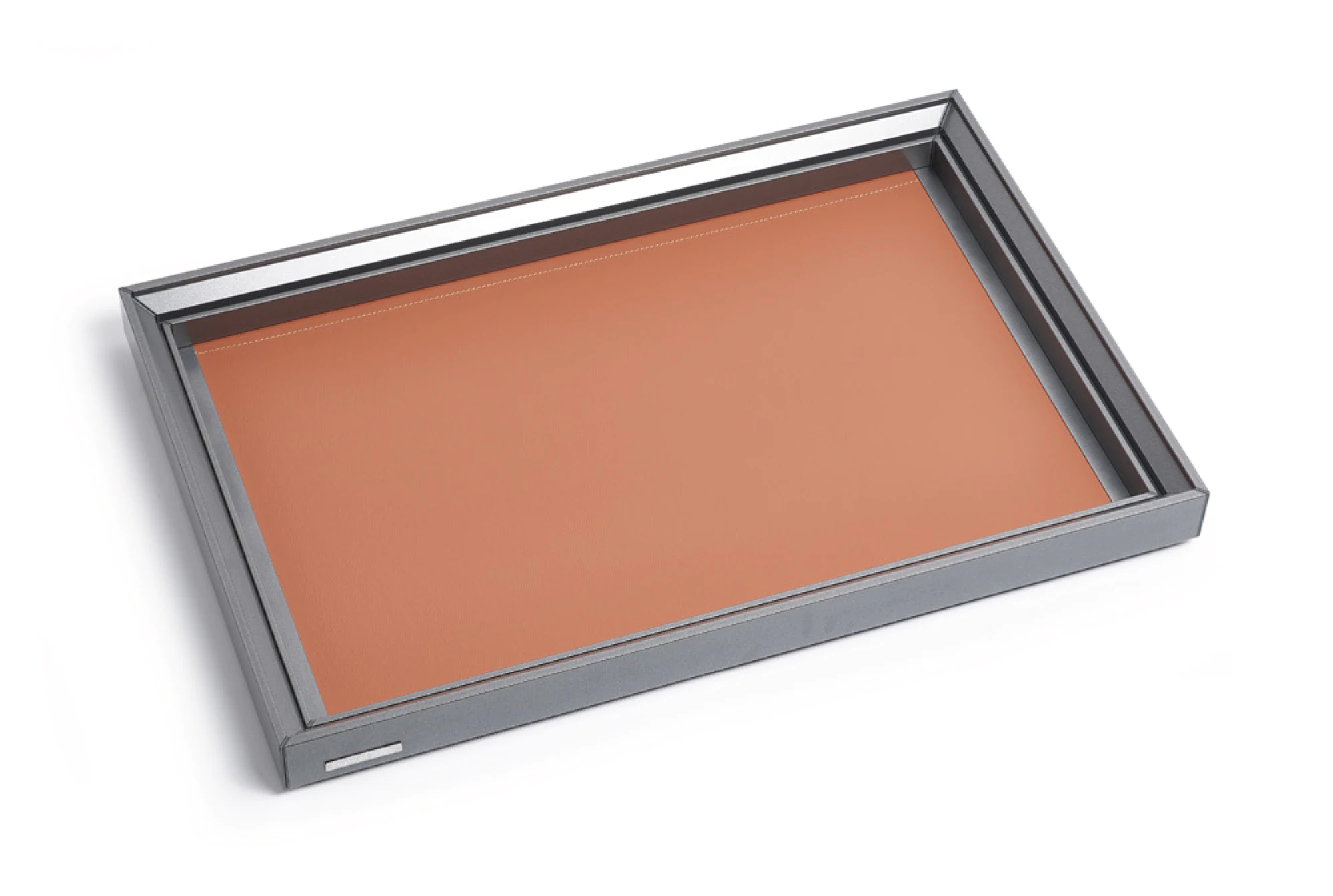 Leather Tray